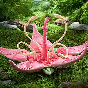 おすすめ画像